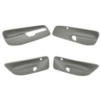 Coverlay - Coverlay 17-94C-MGR Door Panel Insert - Image 1