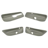 Coverlay - Coverlay 17-94C-TGR Door Panel Insert - Image 1